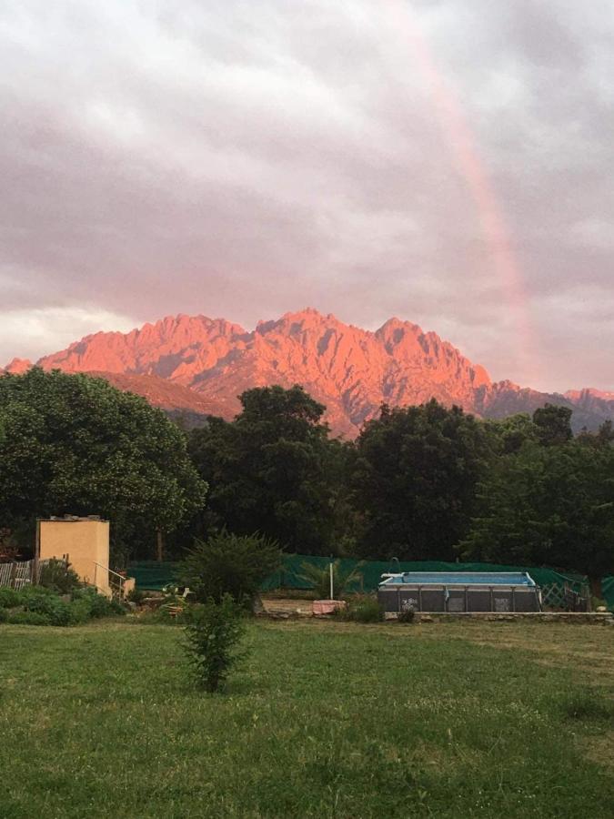 Campeggio Le Coin Tranquille Morosaglia